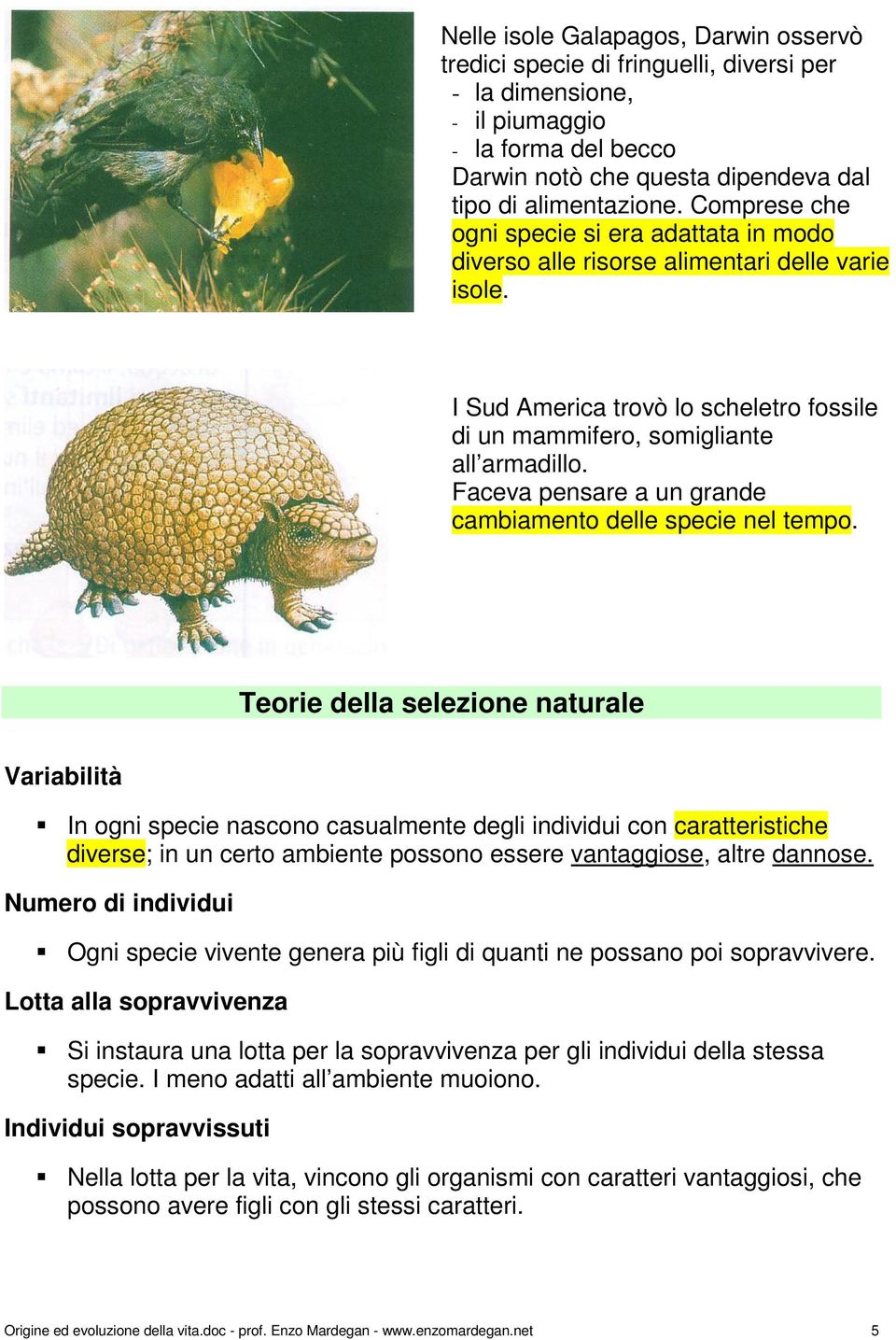 Faceva pensare a un grande cambiamento delle specie nel tempo.