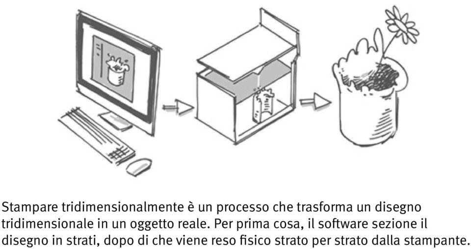 Per prima cosa, il software sezione il disegno in