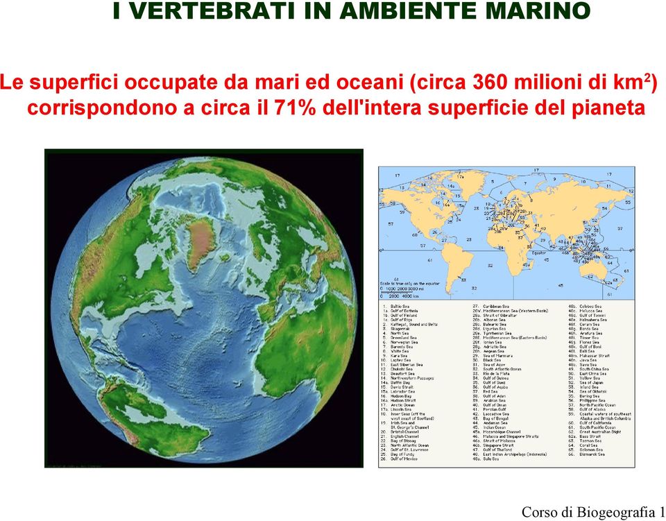 di km2) corrispondono a circa il 71%