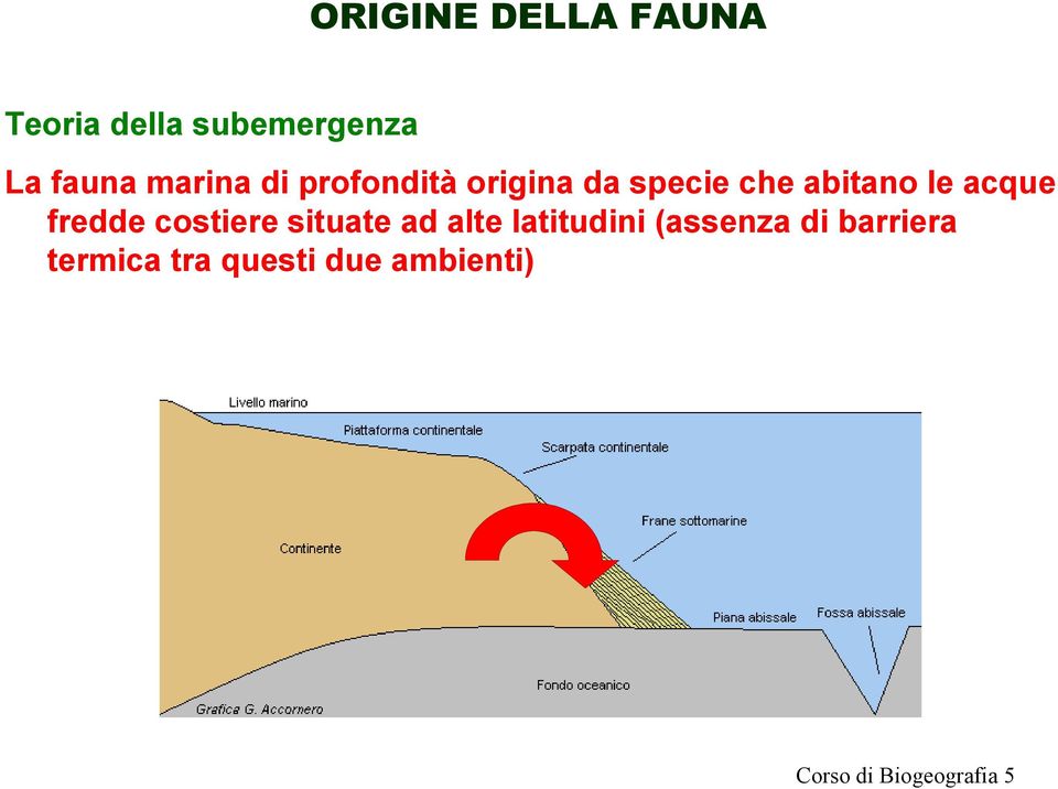 acque fredde costiere situate ad alte latitudini (assenza