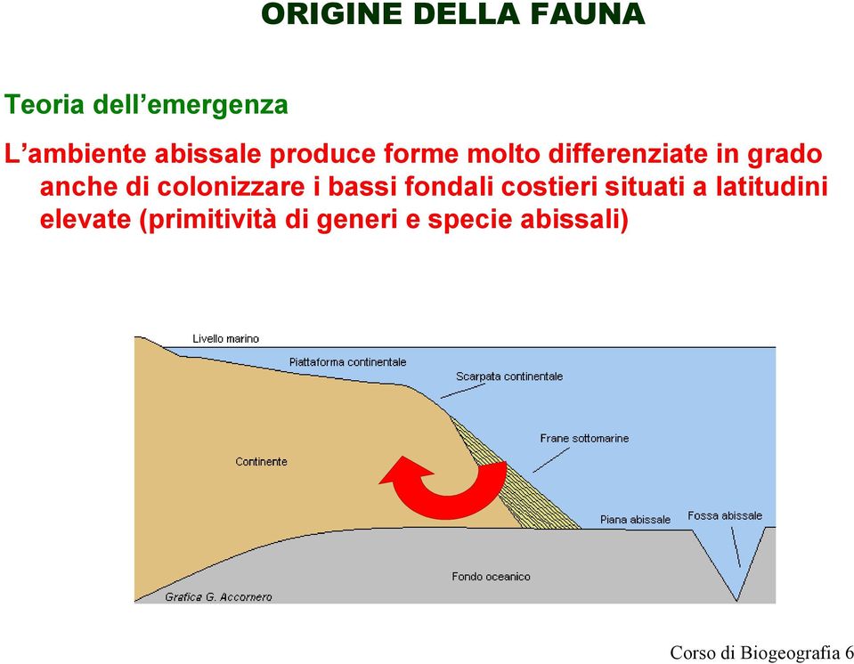 colonizzare i bassi fondali costieri situati a latitudini