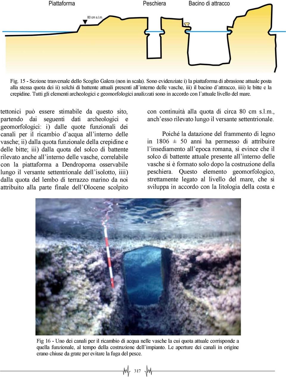 crepidine. Tutti gli elementi archeologici e geomorfologici analizzati sono in accordo con l attuale livello del mare.