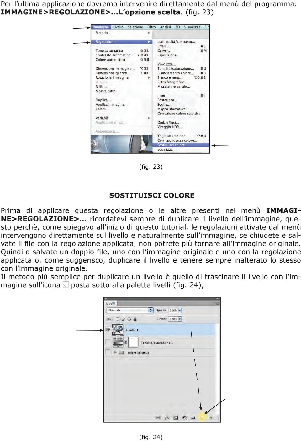 .. ricordatevi sempre di duplicare il livello dell immagine, questo perchè, come spiegavo all inizio di questo tutorial, le regolazioni attivate dal menù intervengono direttamente sul livello e