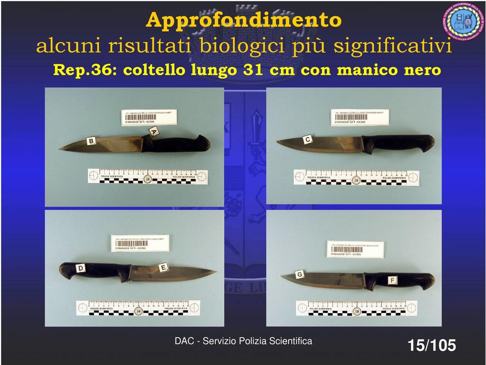 36: coltello lungo 31 cm con manico