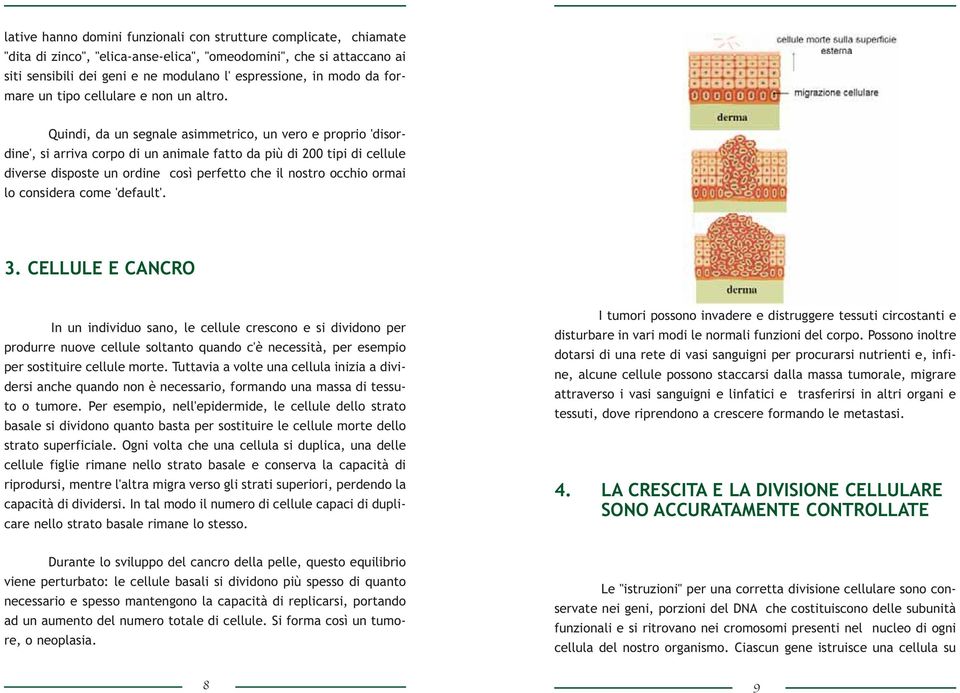 Quindi, da un segnale asimmetrico, un vero e proprio 'disordine', si arriva corpo di un animale fatto da più di 200 tipi di cellule diverse disposte un ordine così perfetto che il nostro occhio ormai