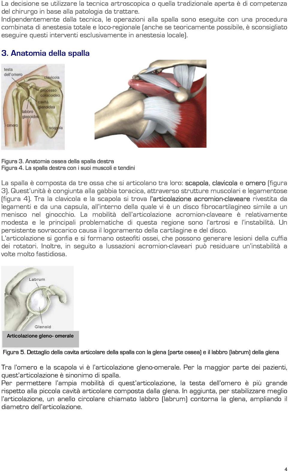 questi interventi esclusivamente in anestesia locale). 4/Bobupnjbefmmbtqbmmb S Figura 3. 3 Anatomia ossea della spalla destra Figura 4.