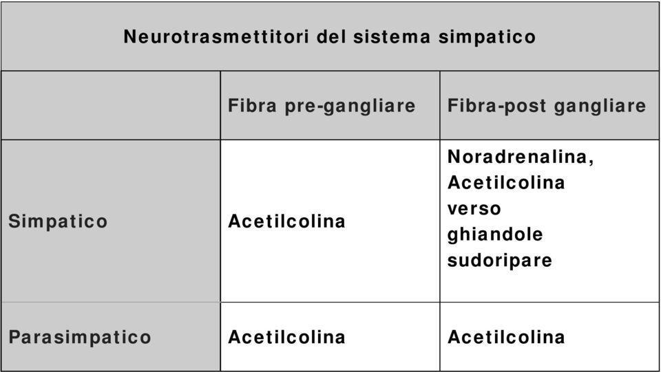 Acetilcolina Noradrenalina, Acetilcolina verso