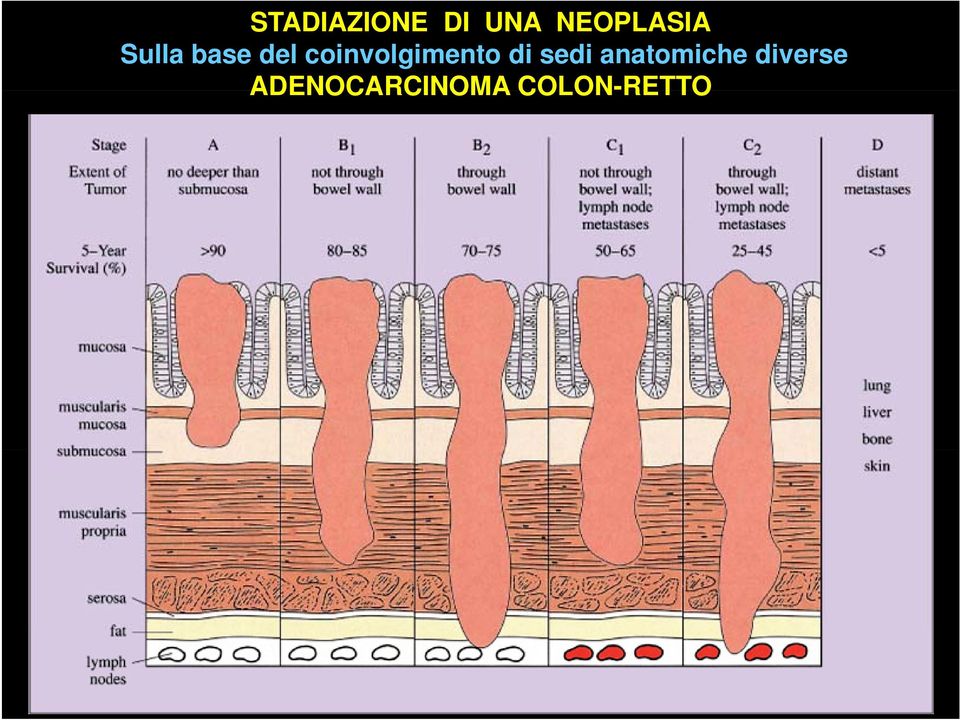 coinvolgimento di sedi