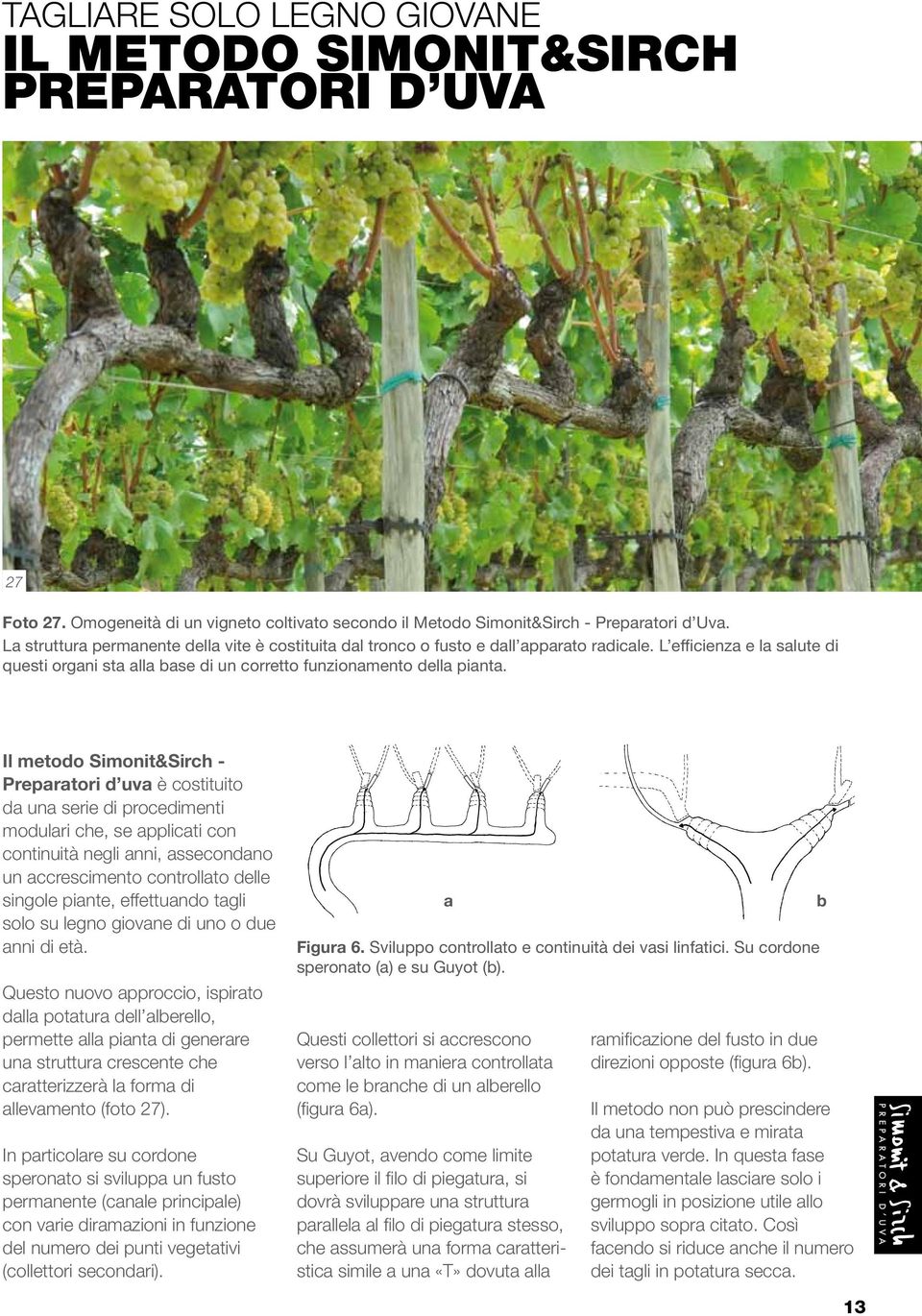 Il metodo Simonit&Sirch - Preparatori d uva è costituito da una serie di procedimenti modulari che, se applicati con continuità negli anni, assecondano un accrescimento controllato delle singole