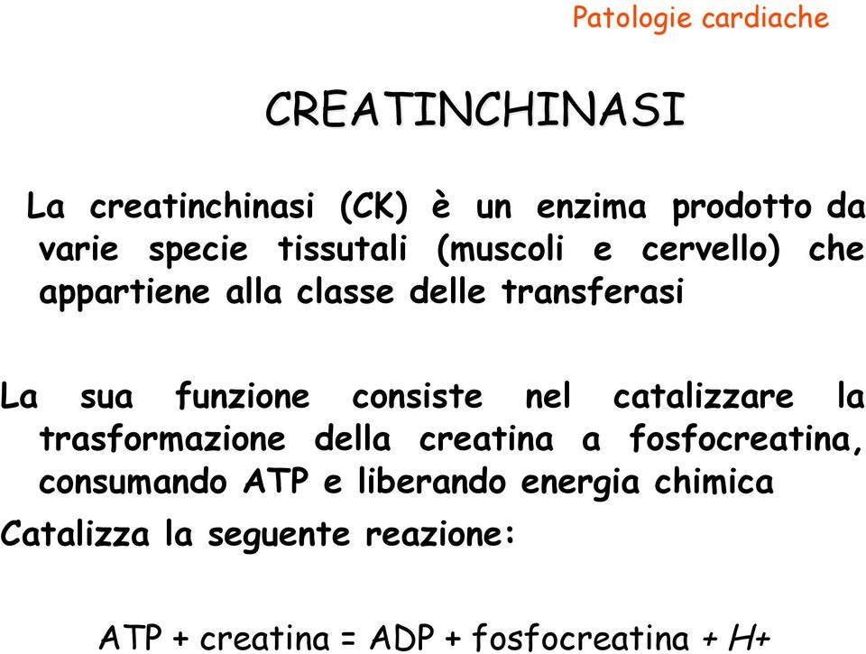 consiste nel catalizzare la trasformazione della creatina a fosfocreatina, consumando ATP e