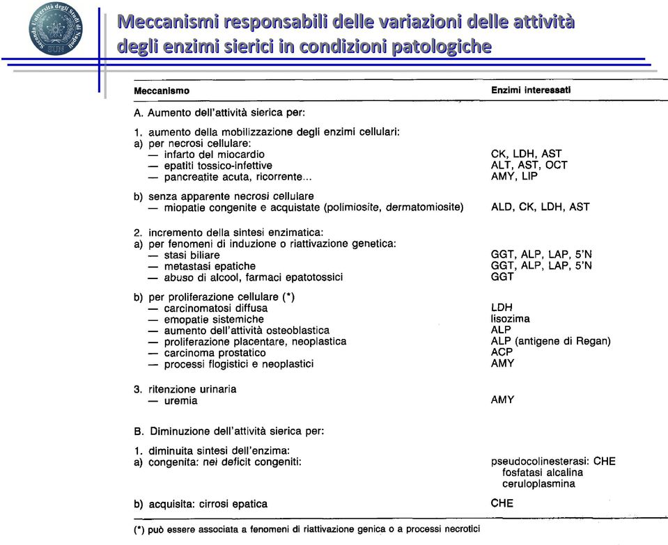 attività degli enzimi