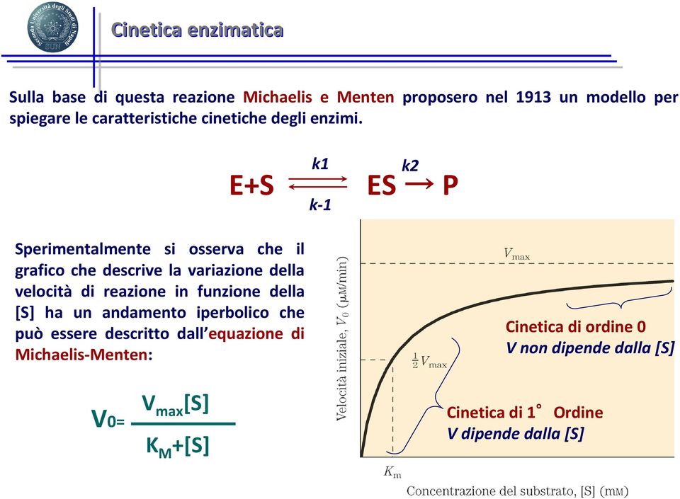 E+S k1 k-1 k2 ES P Sperimentalmente si osserva che il grafico che descrive la variazione della velocità di reazione in