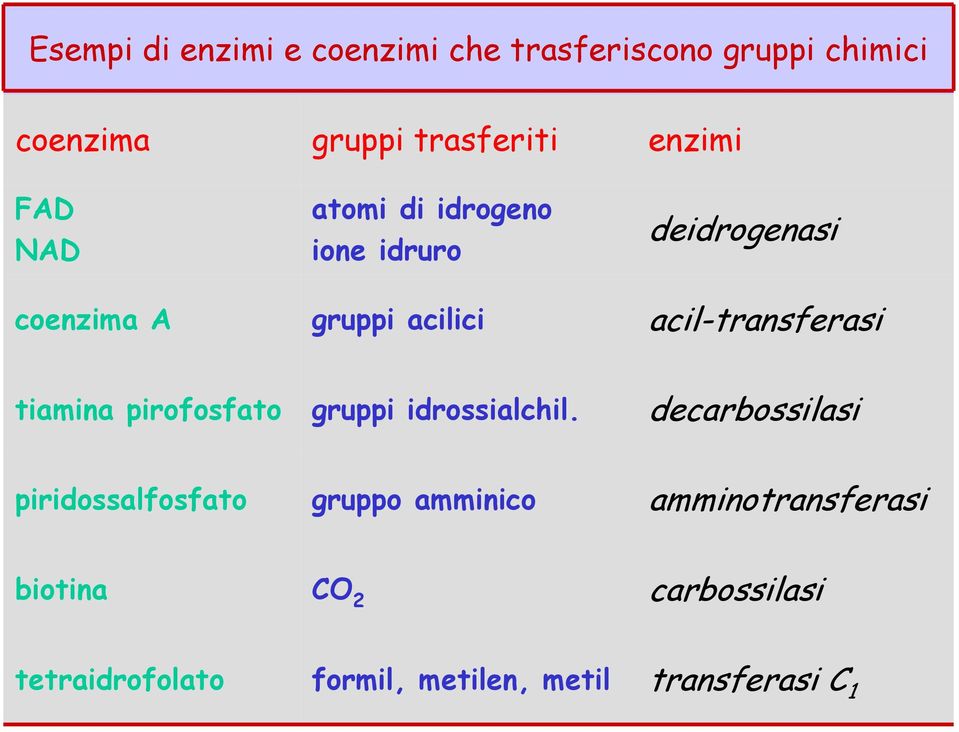 acil-transferasi tiamina pirofosfato gruppi idrossialchil.