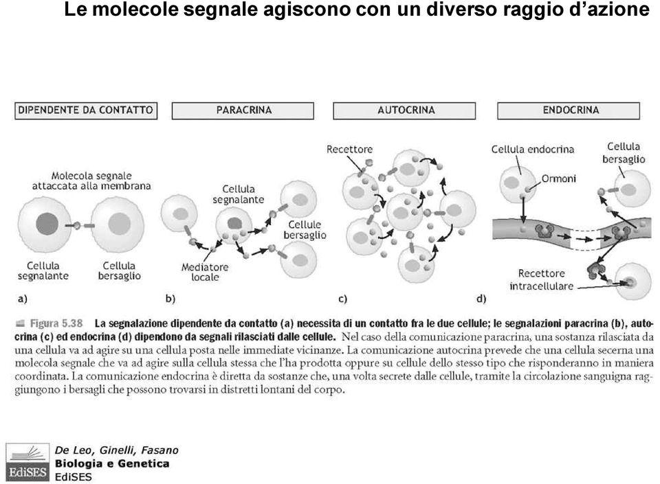 agiscono con