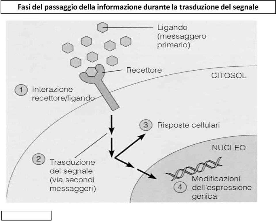 informazione