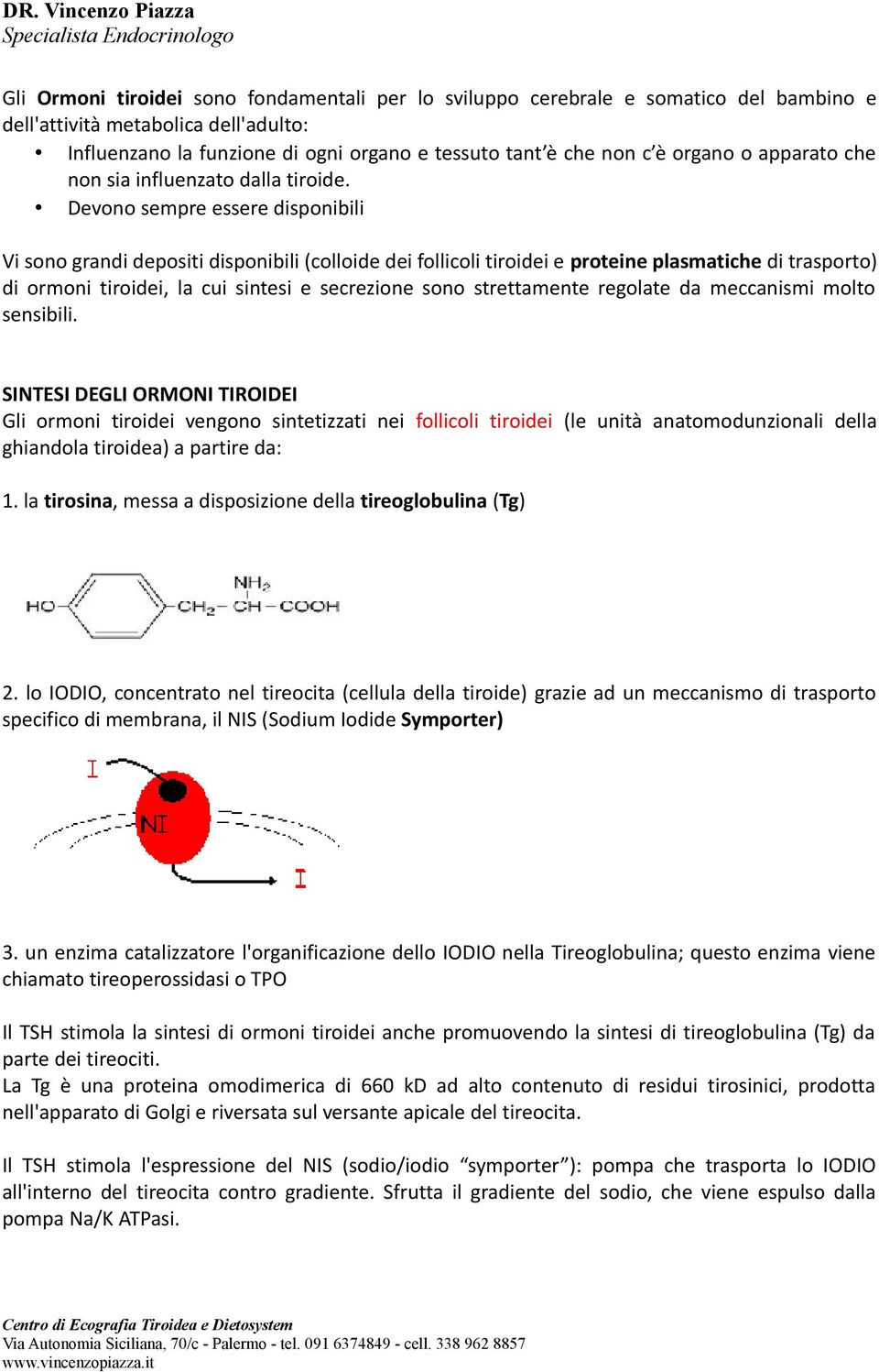 Devono sempre essere disponibili Vi sono grandi depositi disponibili (colloide dei follicoli tiroidei e proteine plasmatiche di trasporto) di ormoni tiroidei, la cui sintesi e secrezione sono