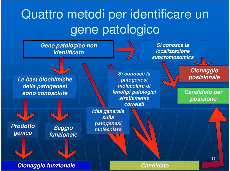 Saggio funzionale Idea generale sulla patogenesi molecolare Si conosce la patogenesi molecolare di