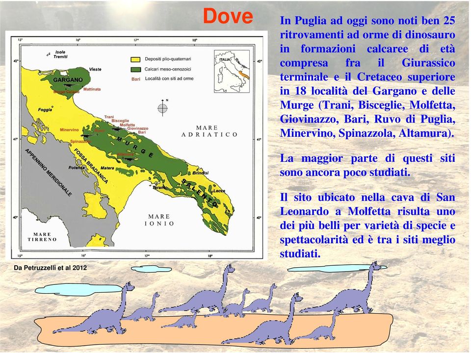 Puglia, Minervino, Spinazzola, Altamura). La maggior parte di questi siti sono ancora poco studiati.