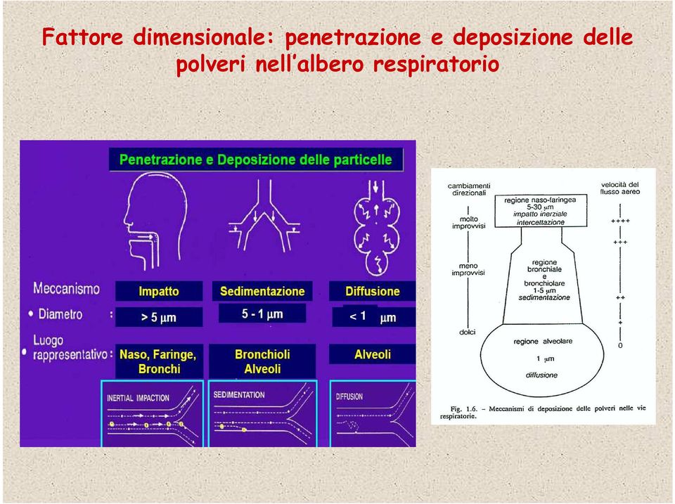 deposizione delle