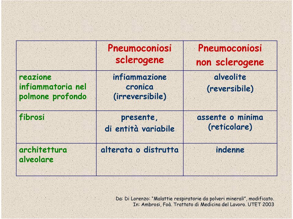 variabile assente o minima (reticolare) architettura alveolare alterata o distrutta indenne Da: Di