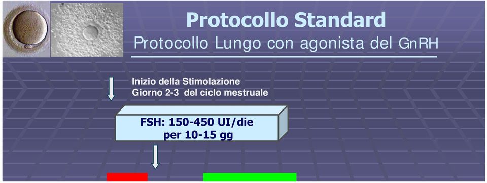 Agonista del GnRH Giorno 21 del precedente ciclo mestruale Conferma della down-regulation (Ε 2 <50 pg/ml etc) Induzione dell