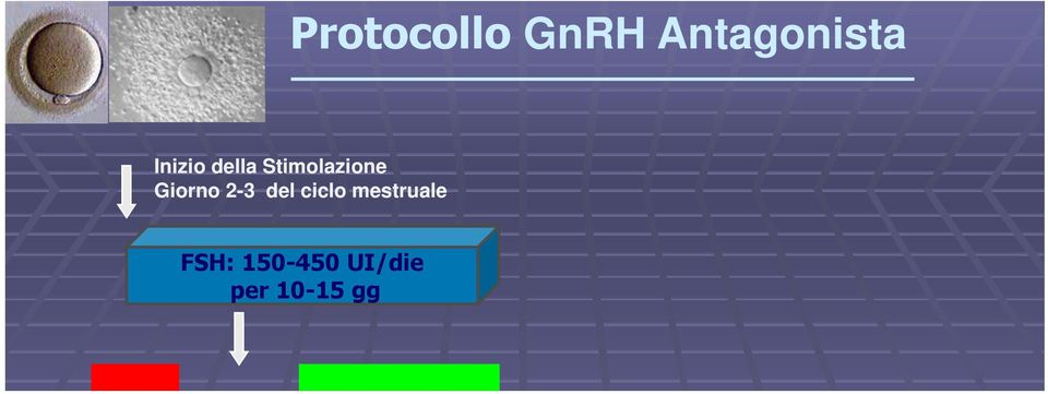 del ciclo mestruale Antagonista GnRH 025 0,25 mg/die Induzione dell ovulazione Prelievo delgli