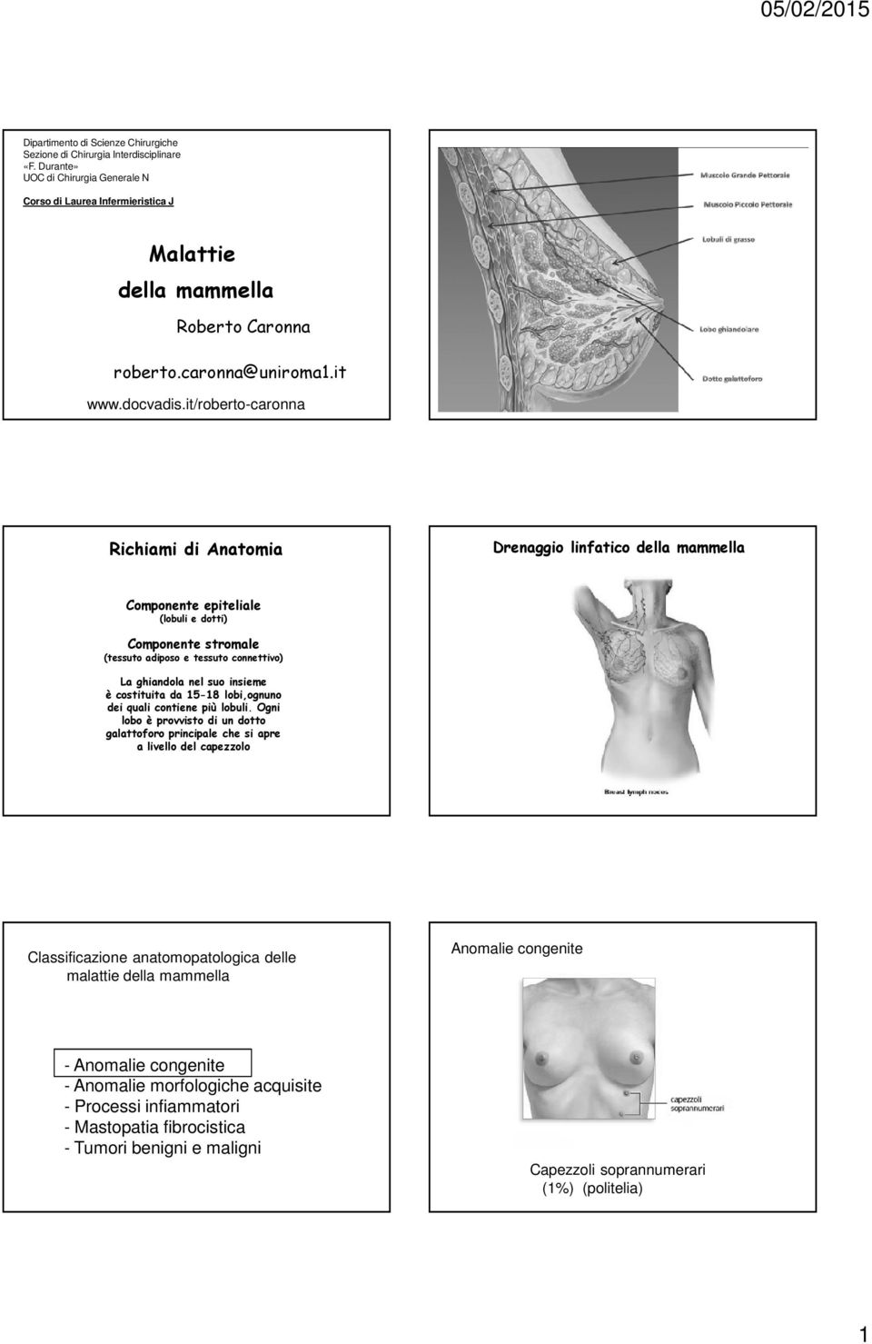 it/roberto-caronna Richiami di Anatomia Drenaggio linfatico della mammella Componente epiteliale (lobuli e dotti) Componente stromale (tessuto adiposo e tessuto