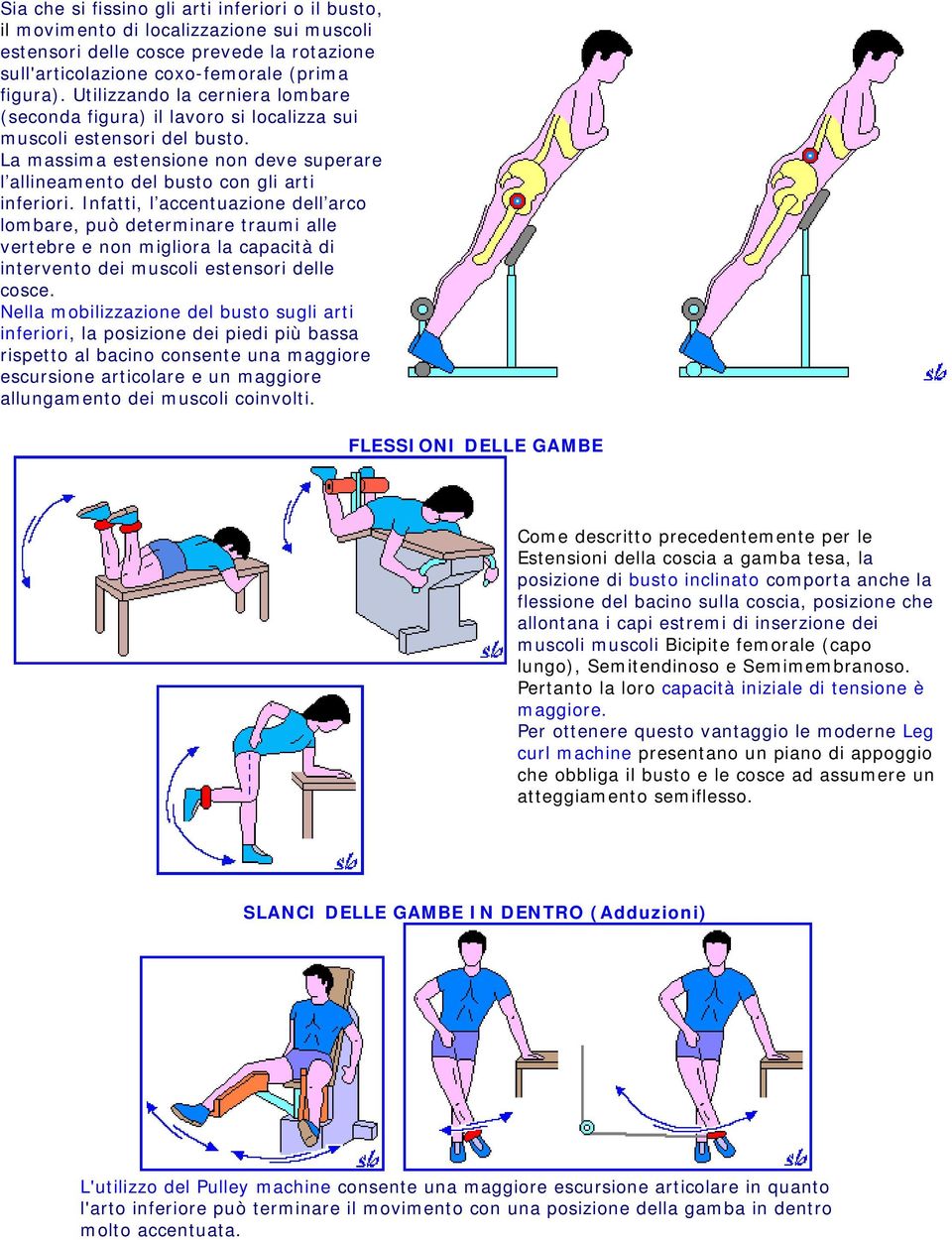 Infatti, l accentuazione dell arco lombare, può determinare traumi alle vertebre e non migliora la capacità di intervento dei muscoli estensori delle cosce.