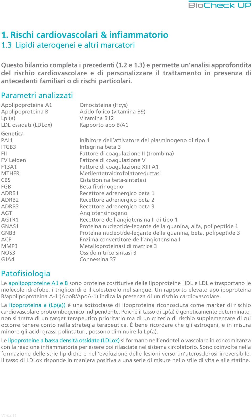 Parametri analizzati Apolipoproteina A1 Omocisteina (Hcys) Apolipoproteina B Acido folico (vitamina B9) Lp (a) Vitamina B12 LDL ossidati (LDLox) Rapporto apo B/A1 PAI1 Inibitore dell attivatore del