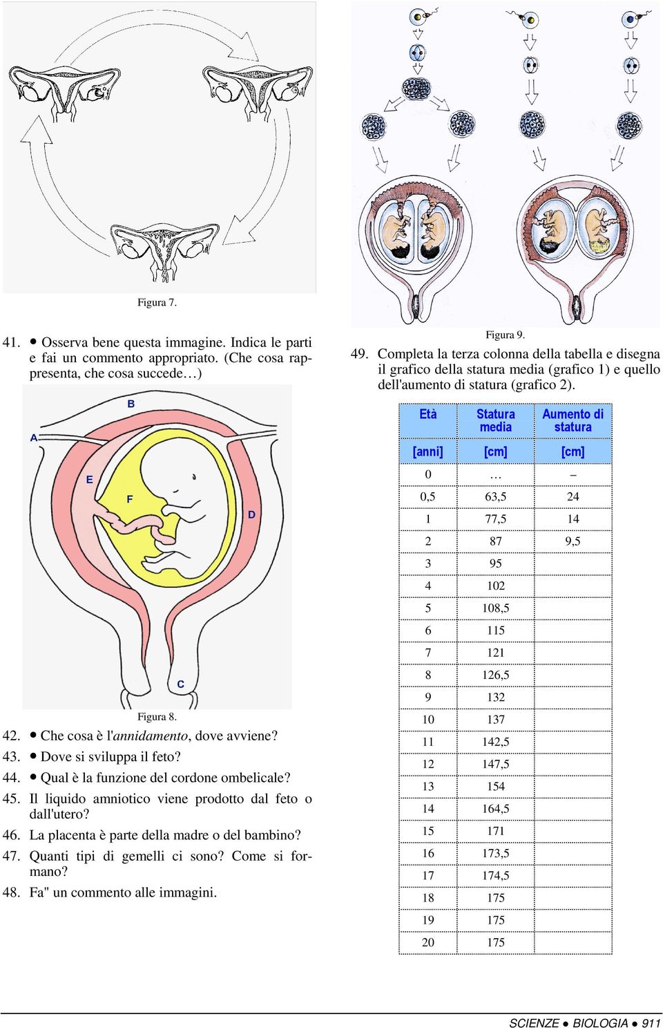 Età Statura media Aumento di statura [anni] [cm] [cm] 0 0,5 63,5 24 1 77,5 14 2 87 9,5 3 95 4 102 5 108,5 6 115 7 121 8 126,5 9 132 Figura 8. 42. Che cosa è l'annidamento, dove avviene? 43.