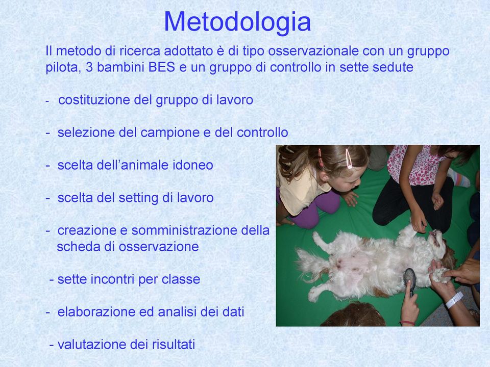 scelta dell animale idoneo - scelta del setting di lavoro - creazione e somministrazione della scheda di