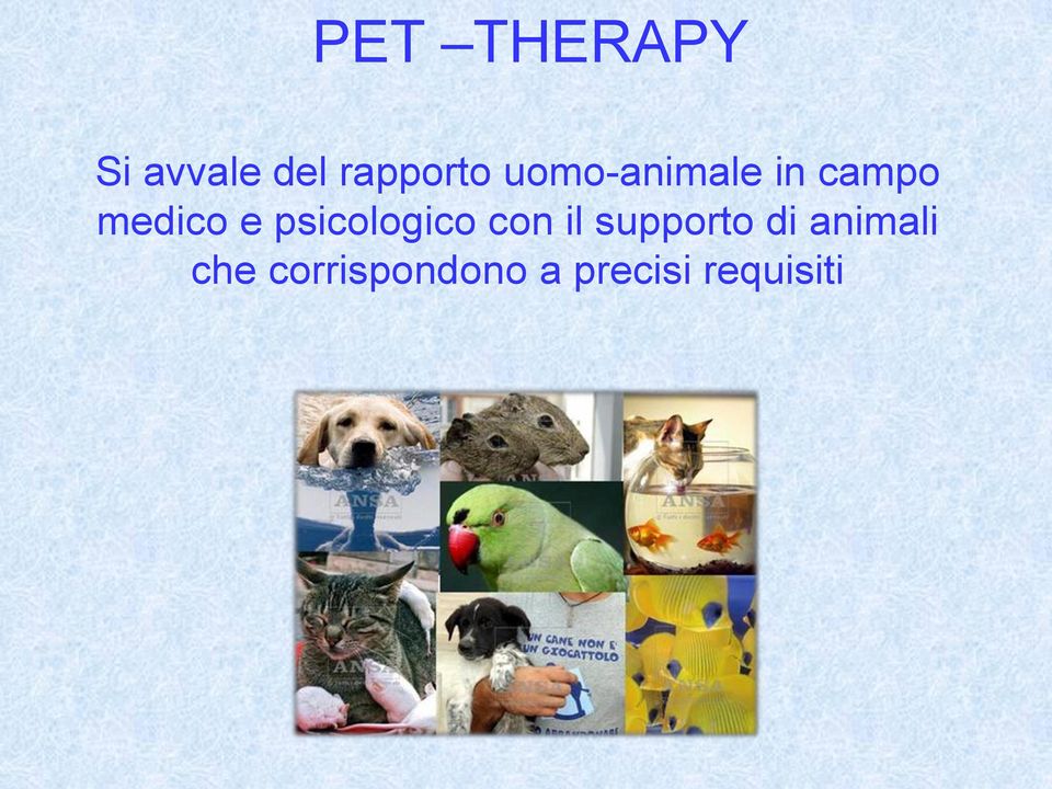 psicologico con il supporto di