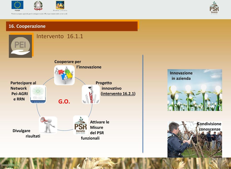 Progetto innovativo (intervento 16.2.