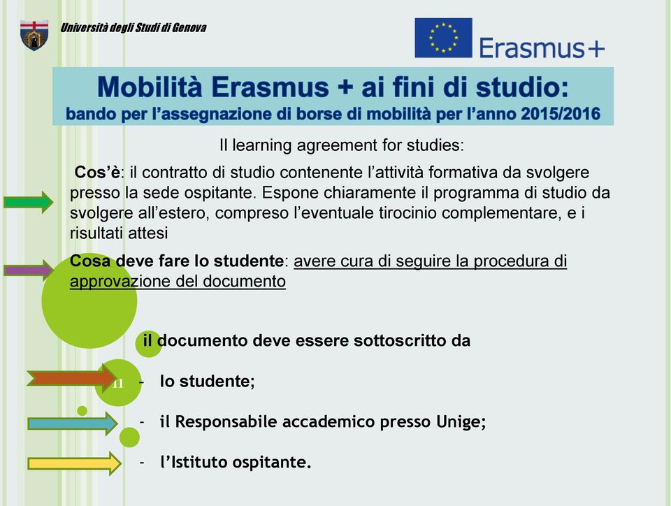 Espone chiaramente il programma di studio da svolgere all estero, compreso l eventuale tirocinio complementare, e i