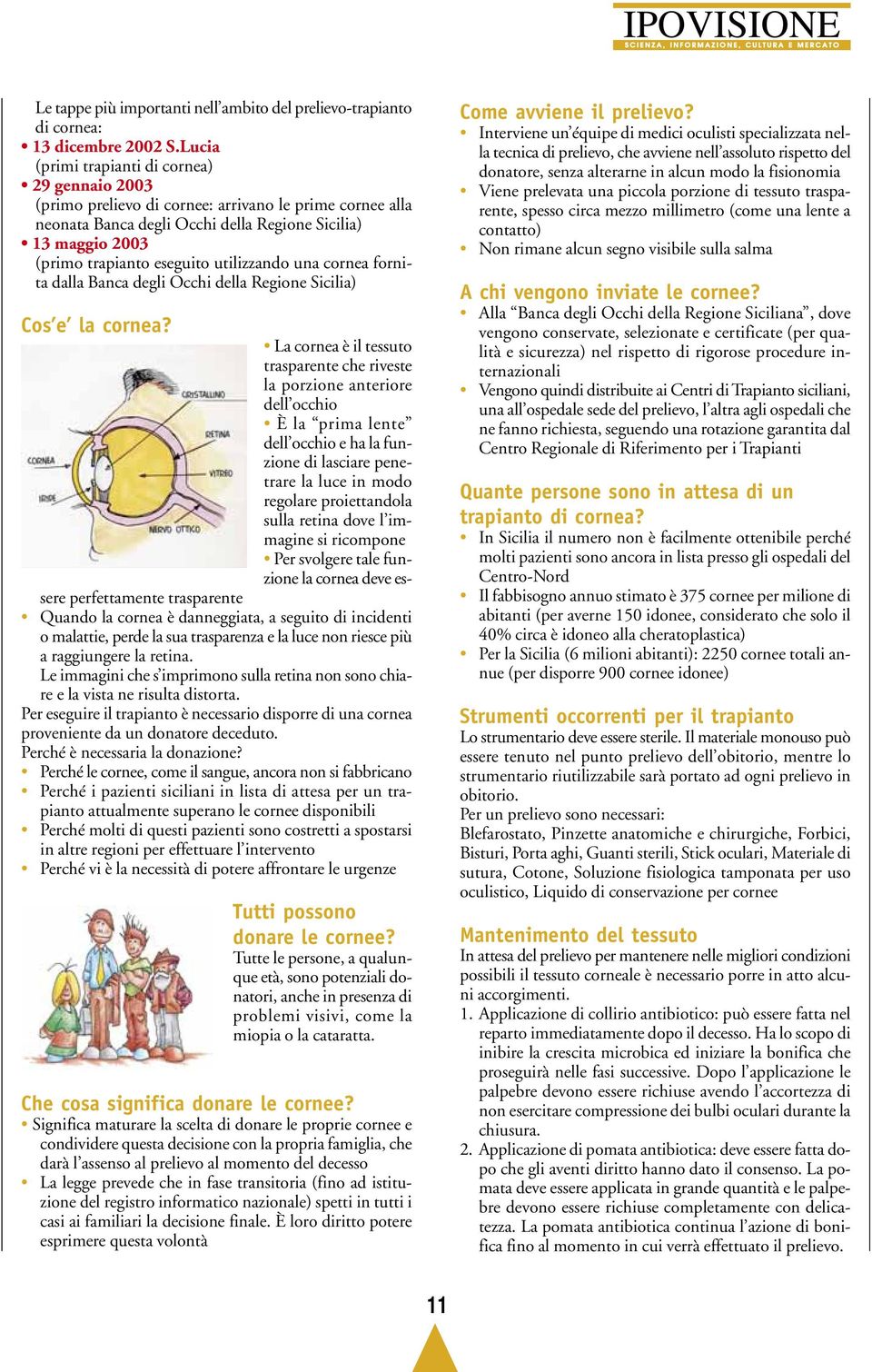 utilizzando una cornea fornita dalla Banca degli Occhi della Regione Sicilia) Cos e la cornea?