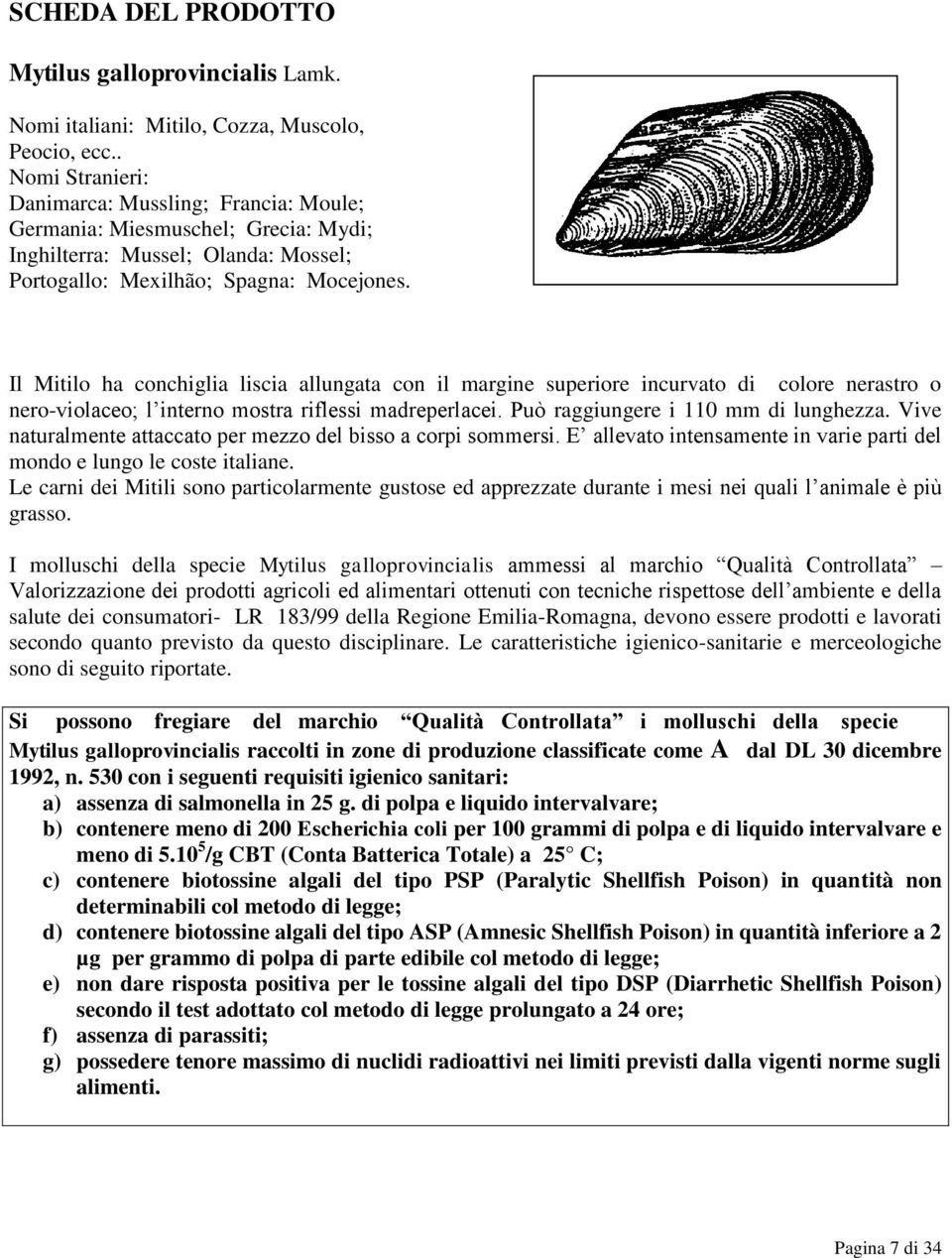 Il Mitilo ha conchiglia liscia allungata con il margine superiore incurvato di colore nerastro o nero-violaceo; l interno mostra riflessi madreperlacei. Può raggiungere i 110 mm di lunghezza.