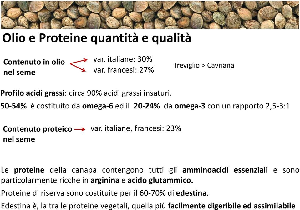 50-54% è costituito da omega-6ed il 20-24% da omega-3con un rapporto 2,5-3:1 Contenuto proteico nel seme var.