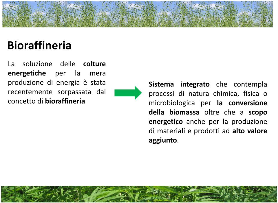 processi di natura chimica, fisica o microbiologica per la conversione della biomassa oltre