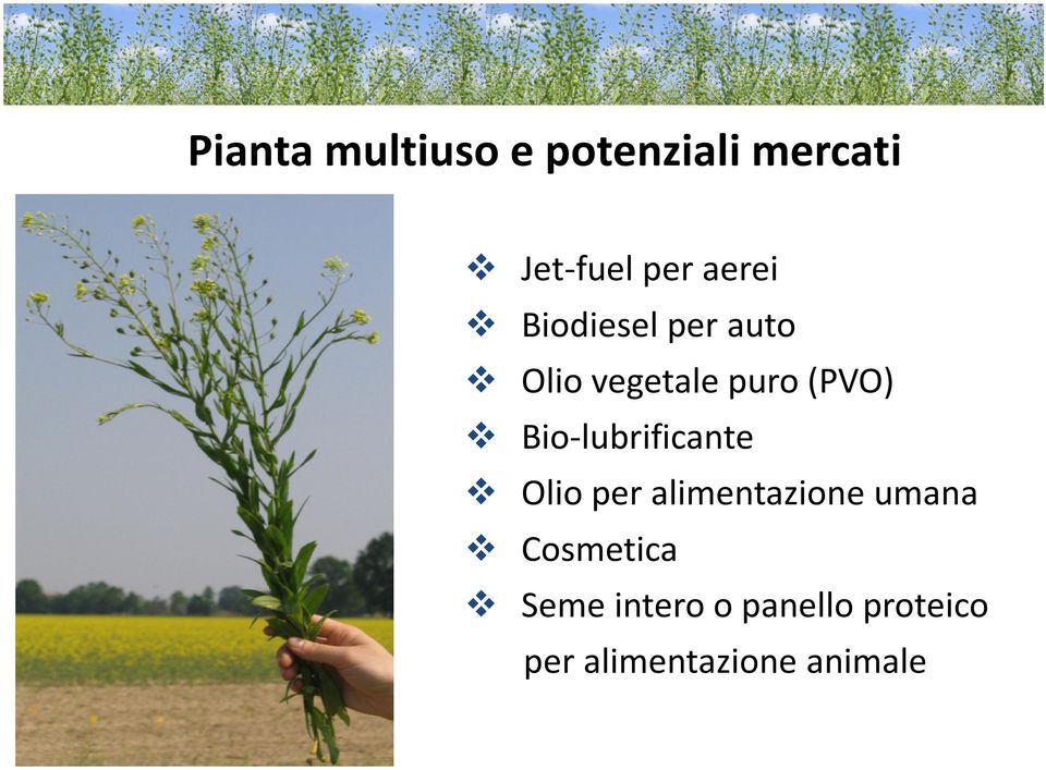 Bio-lubrificante Olio per alimentazione umana