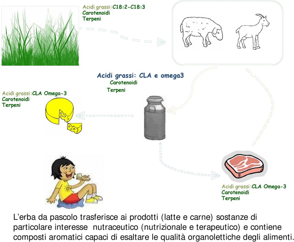 pascolo trasferisce ai prodotti (latte e carne) sostanze di particolare interesse nutraceutico