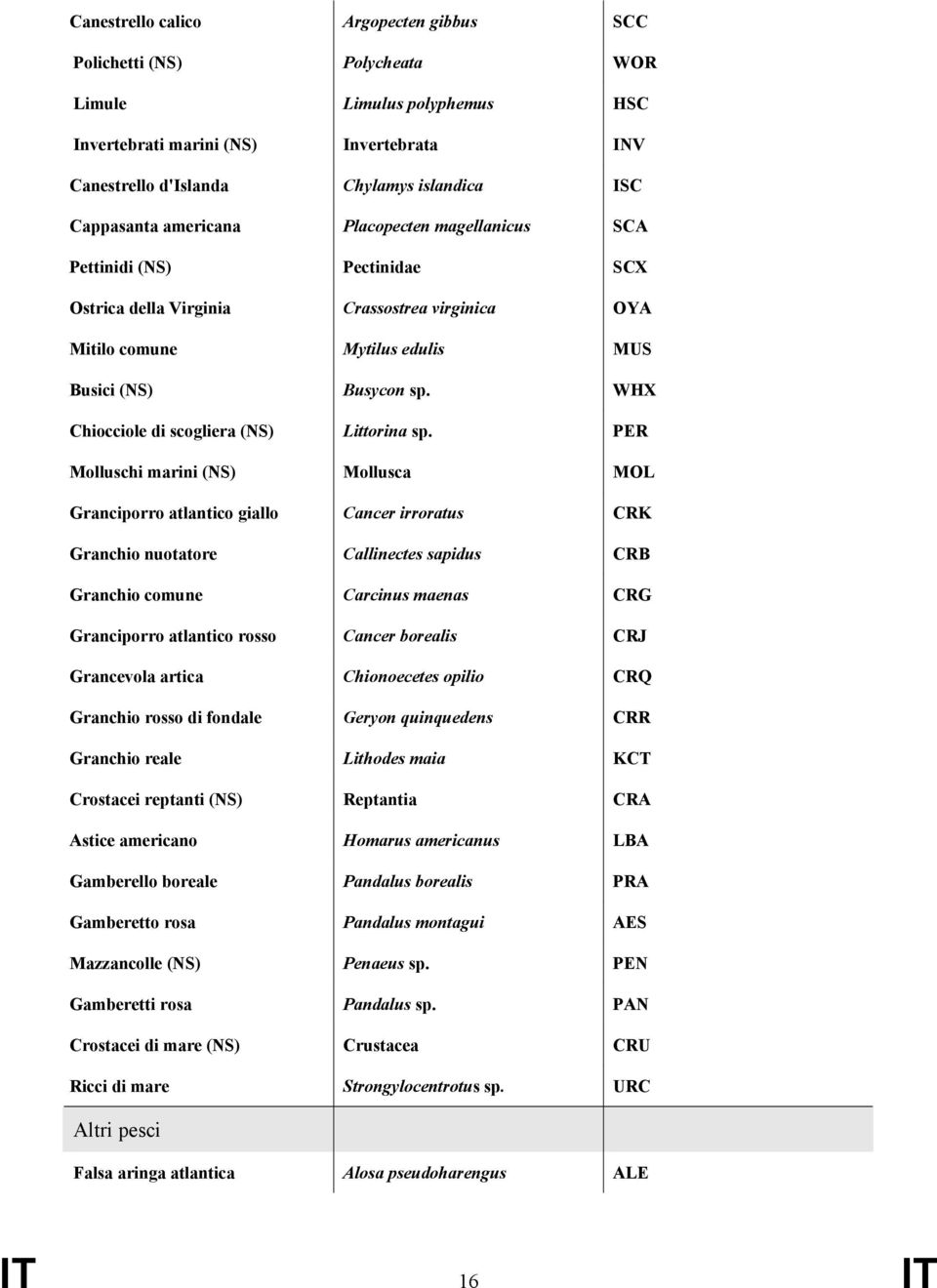 WHX Chiocciole di scogliera (NS) Littorina sp.