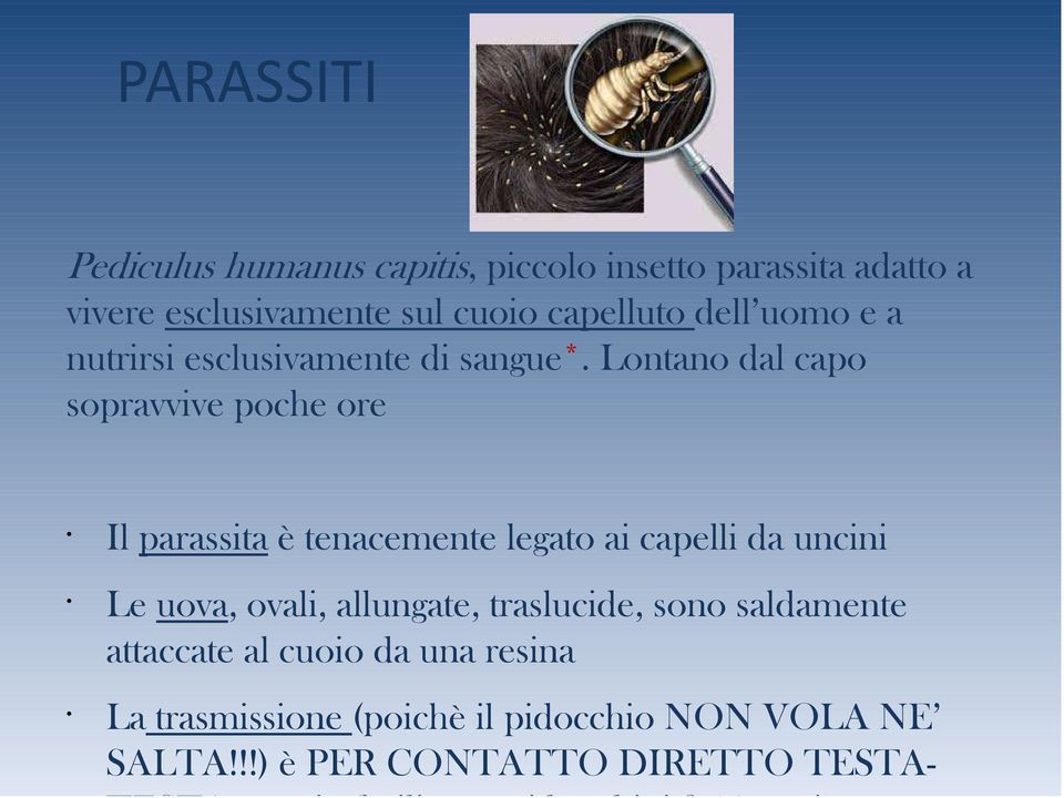 Lontano dal capo sopravvive poche ore Il parassita è tenacemente legato ai capelli da uncini Le uova, ovali, allungate,