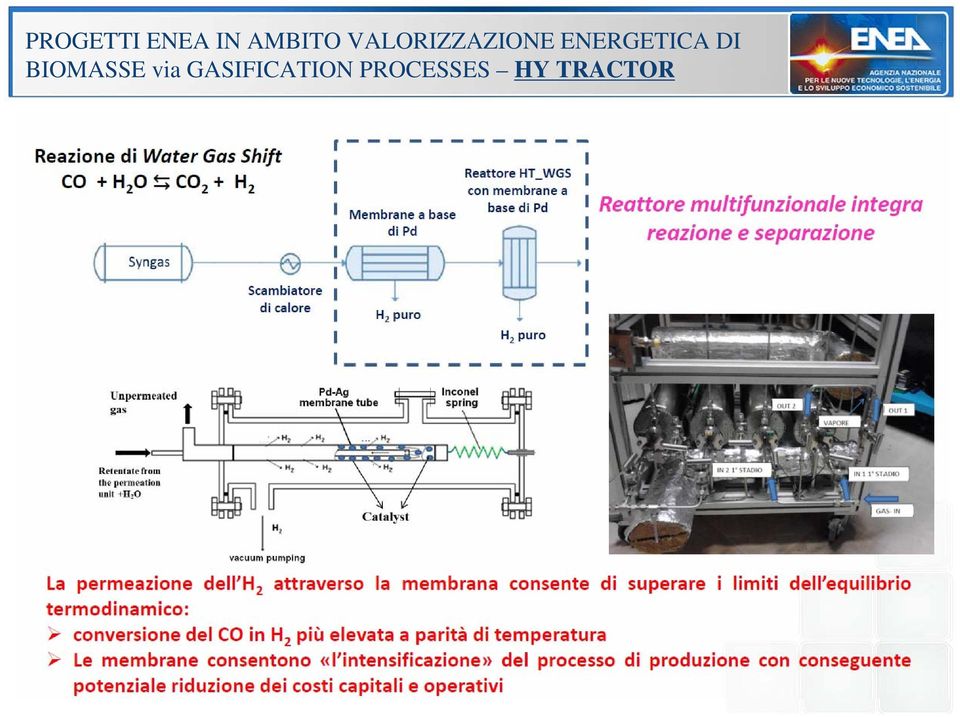 ENERGETICA DI BIOMASSE