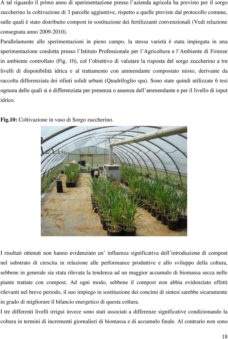 Parallelamente alle sperimentazioni in pieno campo, la stessa varietà è stata impiegata in una sperimentazione condotta presso l Istituto Professionale per l Agricoltura e l Ambiente di Firenze in