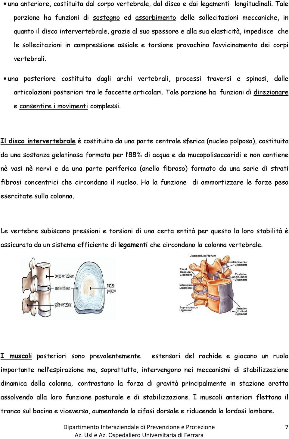 sollecitazioni in compressione assiale e torsione provochino l avvicinamento dei corpi vertebrali.