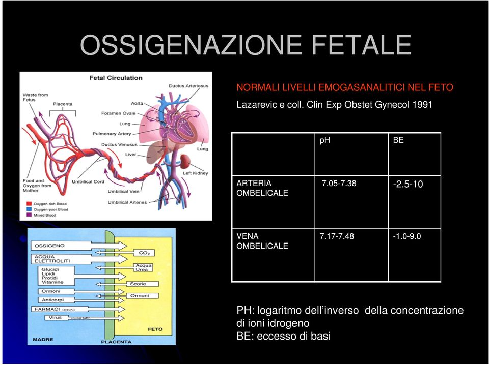 05-7.38 7.38-2.5 OMBELICALE VENA OMBELICALE 7.17-7.487.48-1.0-9.