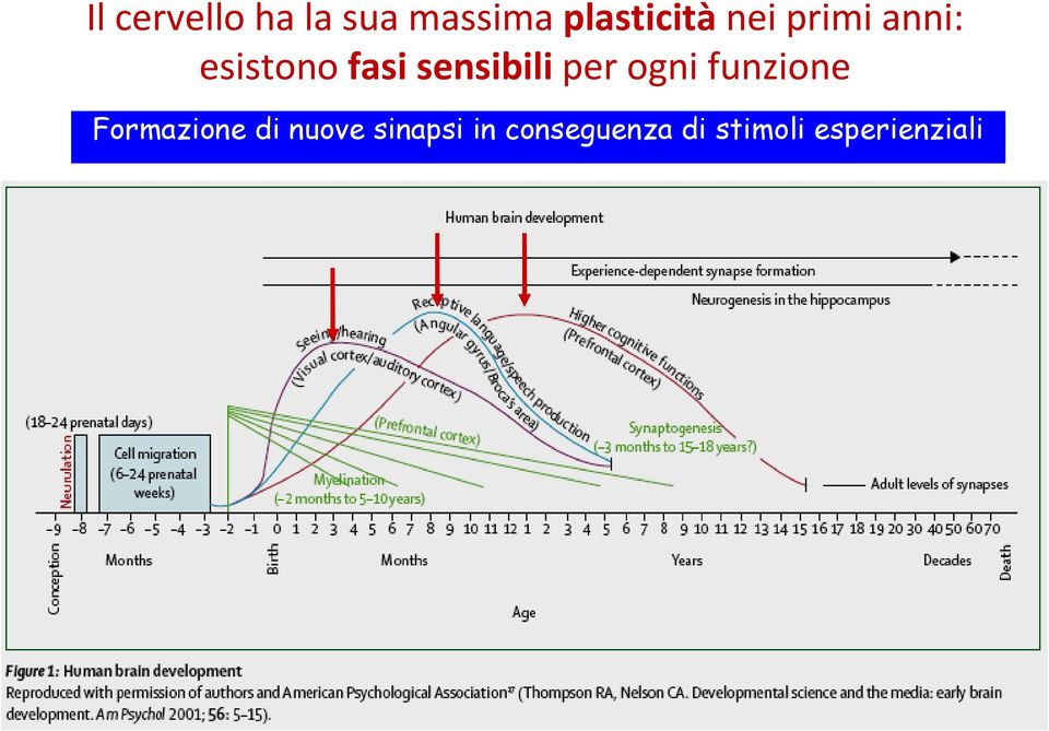 sensibili per ogni funzione Formazione di