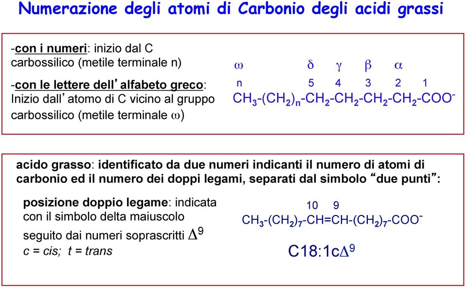 acido grasso: identificato da due numeri indicanti il numero di atomi di carbonio ed il numero dei doppi legami, separati dal simbolo due punti :