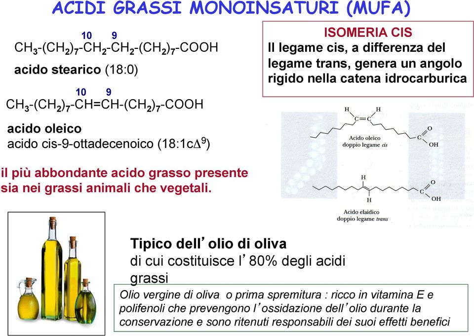 ISOMERIA CIS Il legame cis, a differenza del legame trans, genera un angolo rigido nella catena idrocarburica Tipico dell olio di oliva di cui costituisce l 80%
