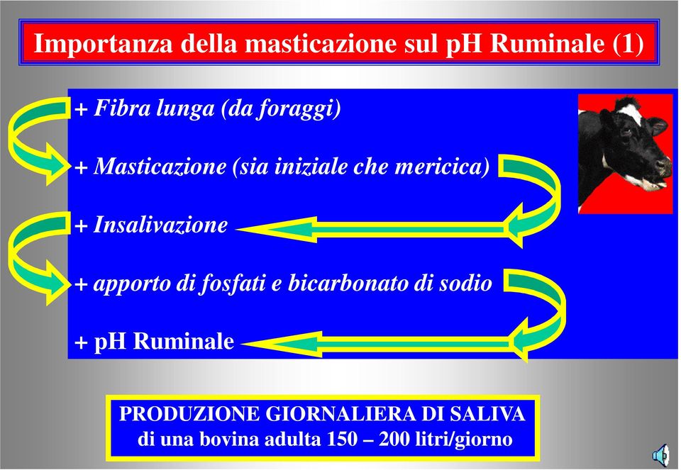 Insalivazione + apporto di fosfati e bicarbonato di sodio + ph